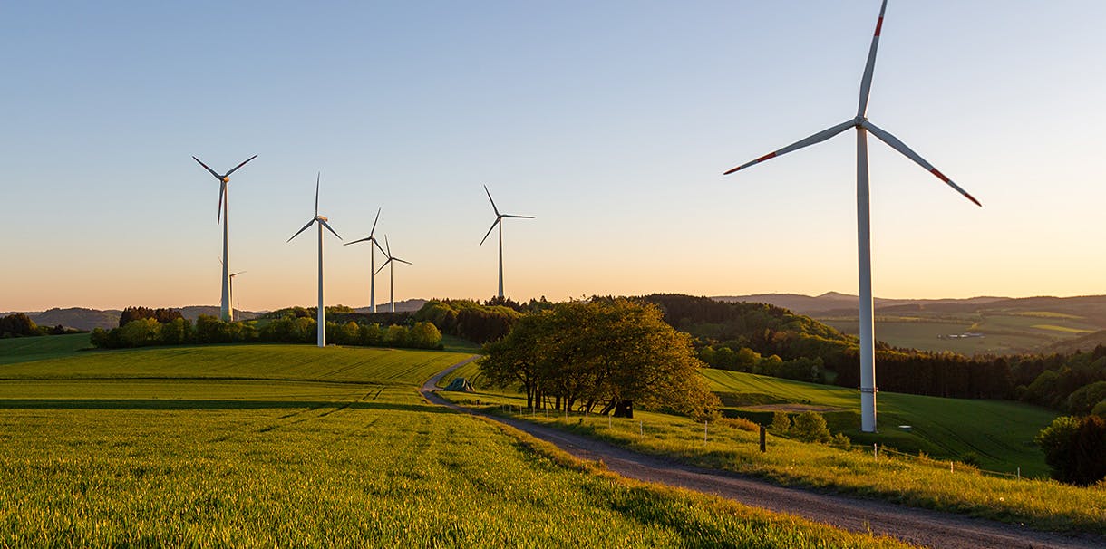 A scenic view of a field with windmills