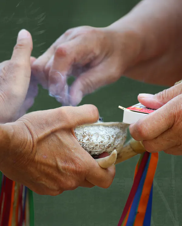A person holding out their hands holding a shell with sage in it. The other holds a box of matches and lights the sage to perform a ceremonial smudge.