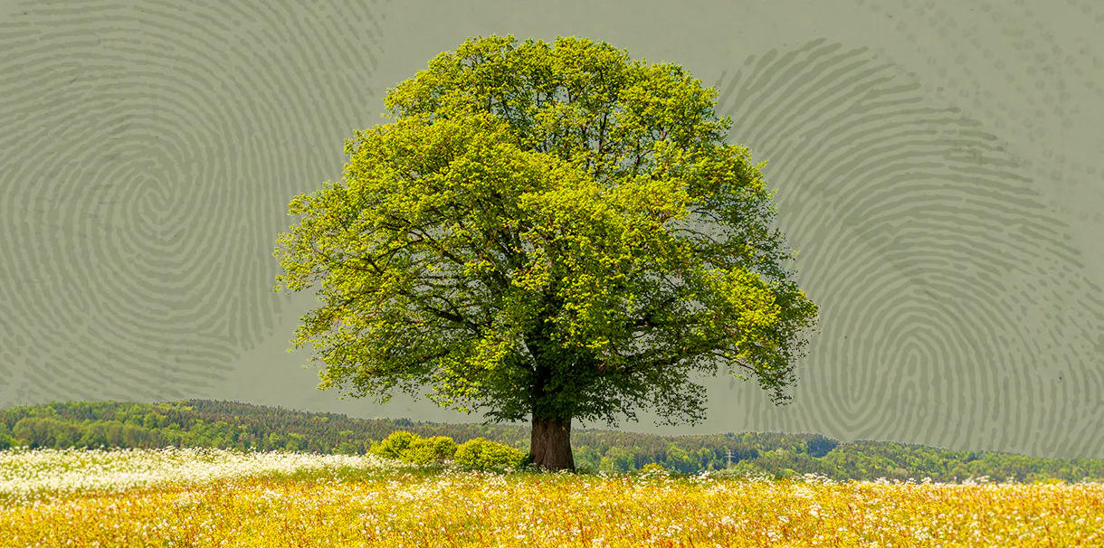 A large tree sitting alone in the distance with hills in the background. A textured light green background with thumbprints sits behind.