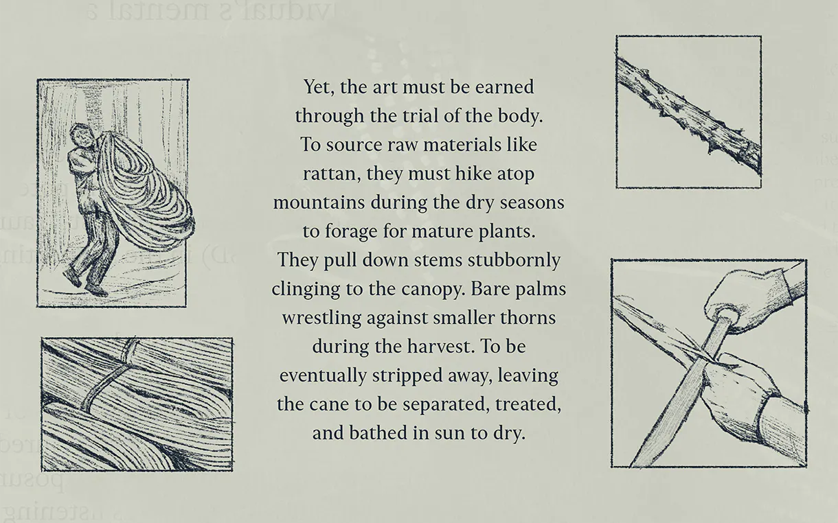 A muted grey-green background with a central block of text detailing the physical trials of harvesting raw rattan from mountain canopies. The text is surrounded by four small, boxed sketches illustrating the process: a person carrying a heavy bundle of coiled vines, a close-up of a thorny stem, a bundle of raw stalks tied together, and a close-up of hands stripping the outer layer off a cane with a tool.