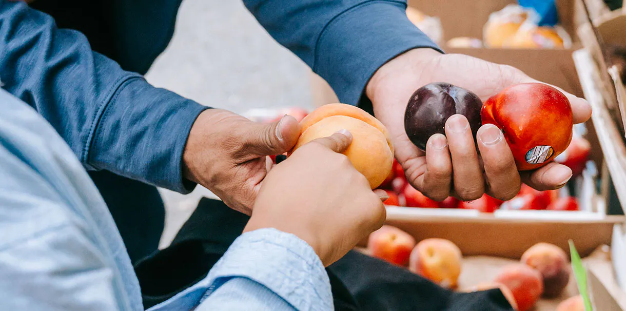 Father and son choosing fresh fruits together at a local market stand.