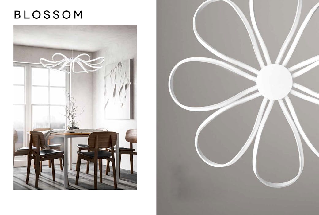 Πολυέλαιοι