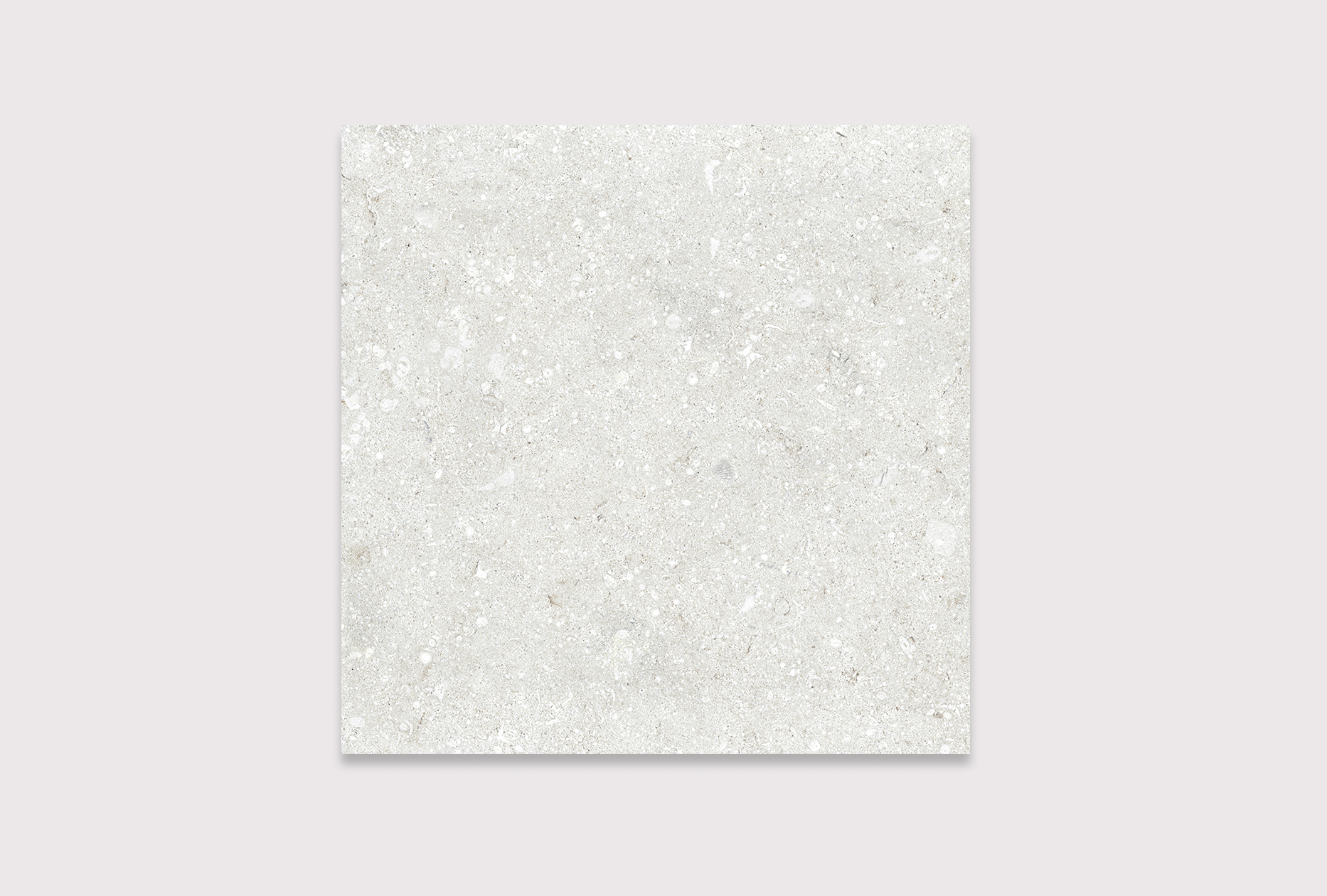 Kokomo Cool White 2CM - Nasco Stone + Tile