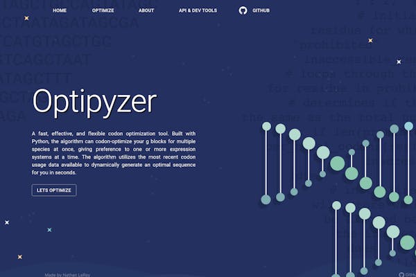 optipyzer-landing-page