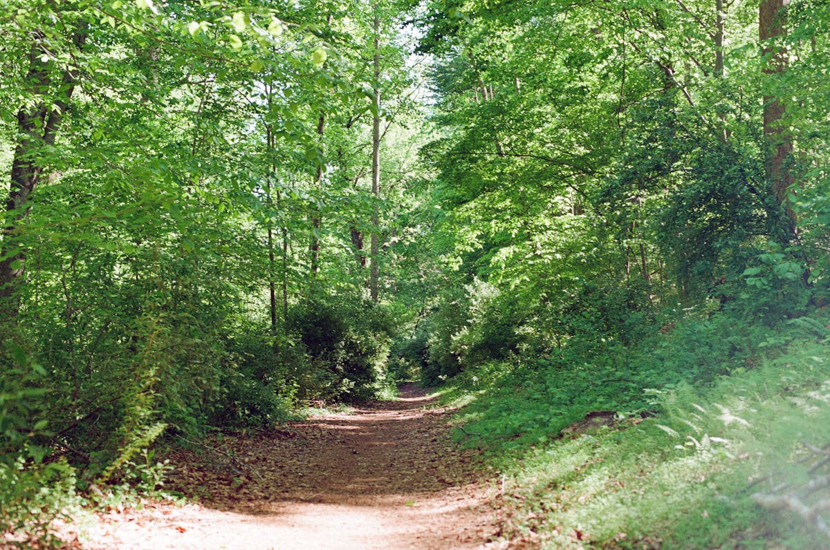 Rivanna Trail