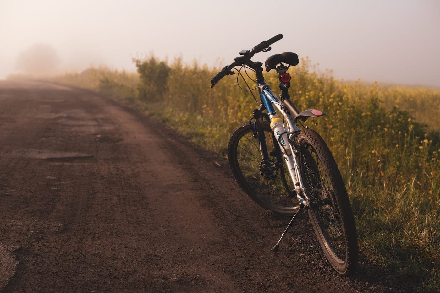 Western Pomerania Lagoon Area National Park - Bicycle Rental