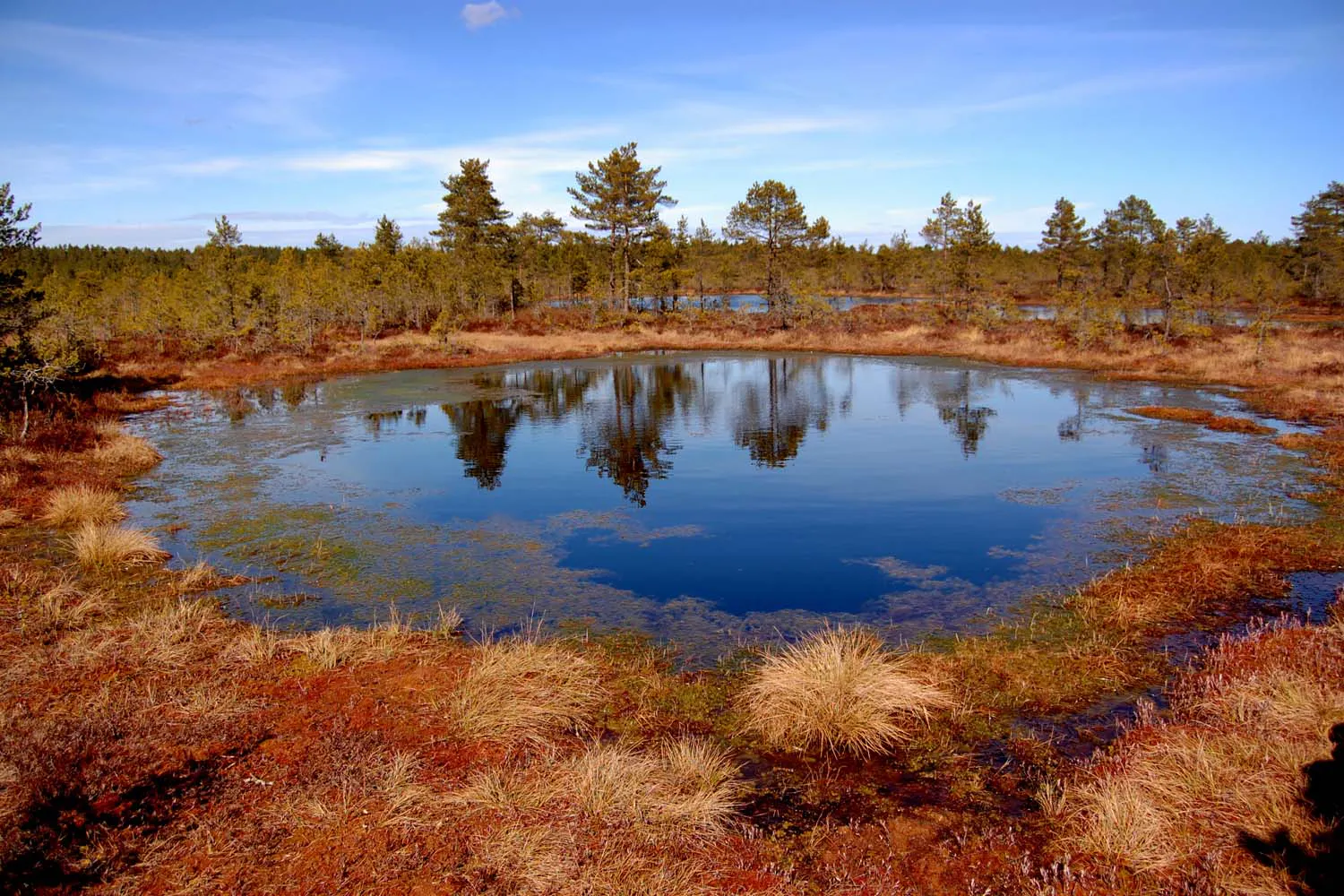 Lahemaa National Park - Hiking Trails, Maps, Sights, Information and  Wildlife | Alper