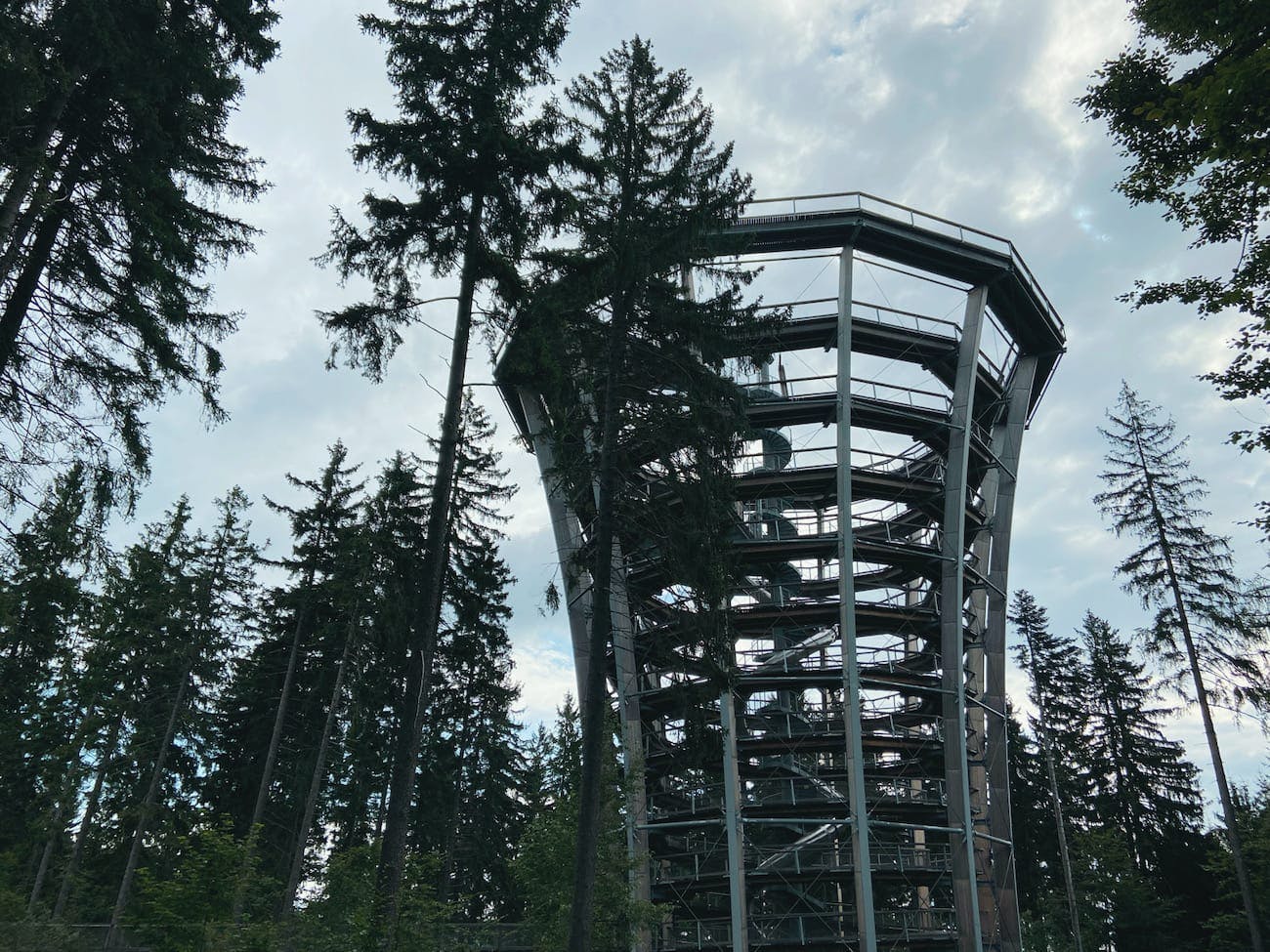 Tree Top Walk - Krkonoše National Park