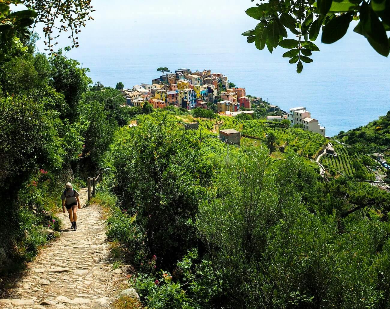 Cinque Terre National Park - Hiking