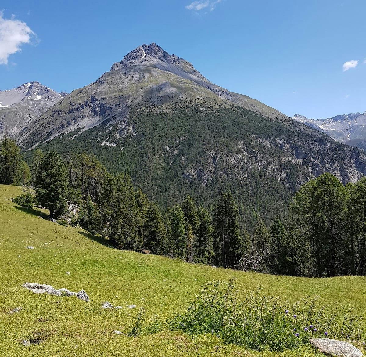 Swiss National Park - Chamanna Cluozza Hike