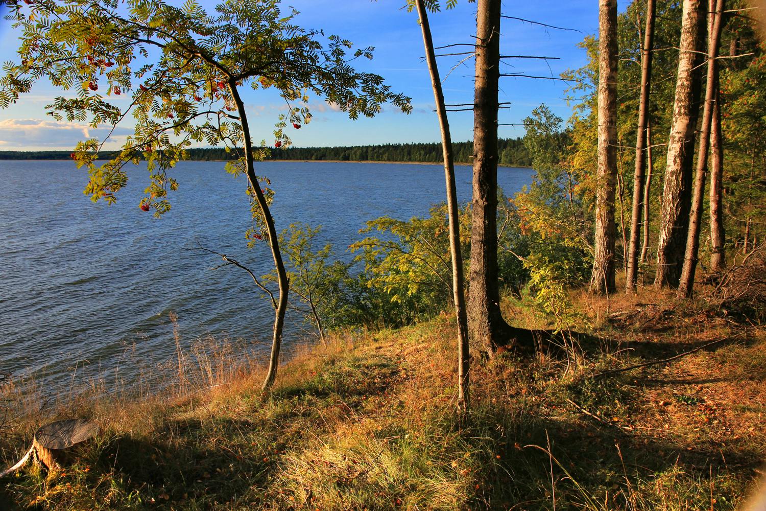  Juminda peninsula  - Lahemaa National Park	