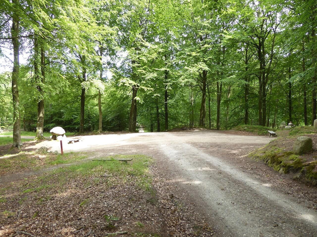 Gribskov - Kings' North Zealand National Park