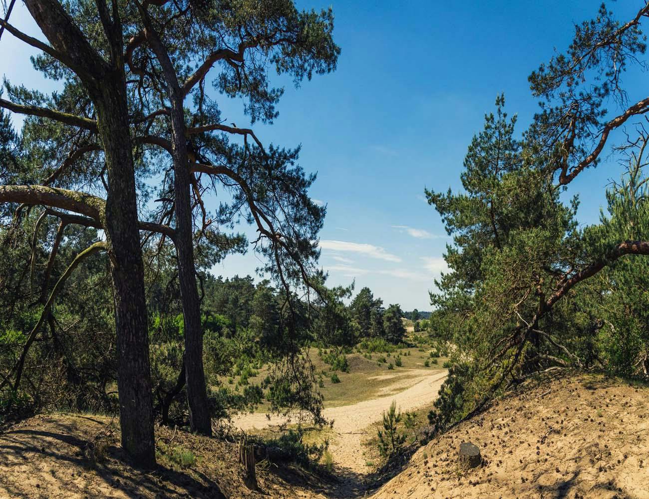 Hike 1. - Patrik - Hoge Veluwe National Park	

