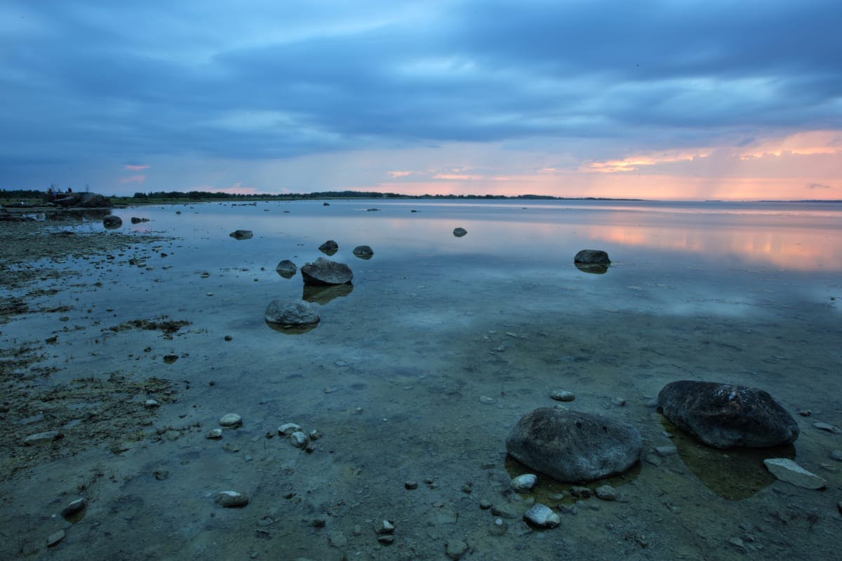 Matsalu Bay - Matsalu National Park