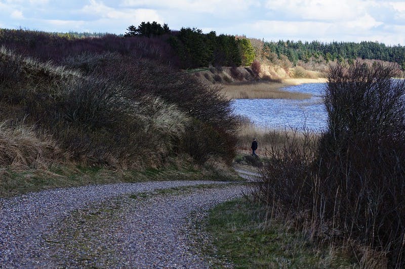 Fishing - Nors Lake - Thy National Park