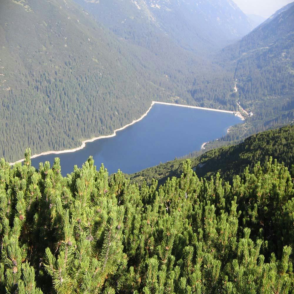 Rila National Park_Iskar Reservoir