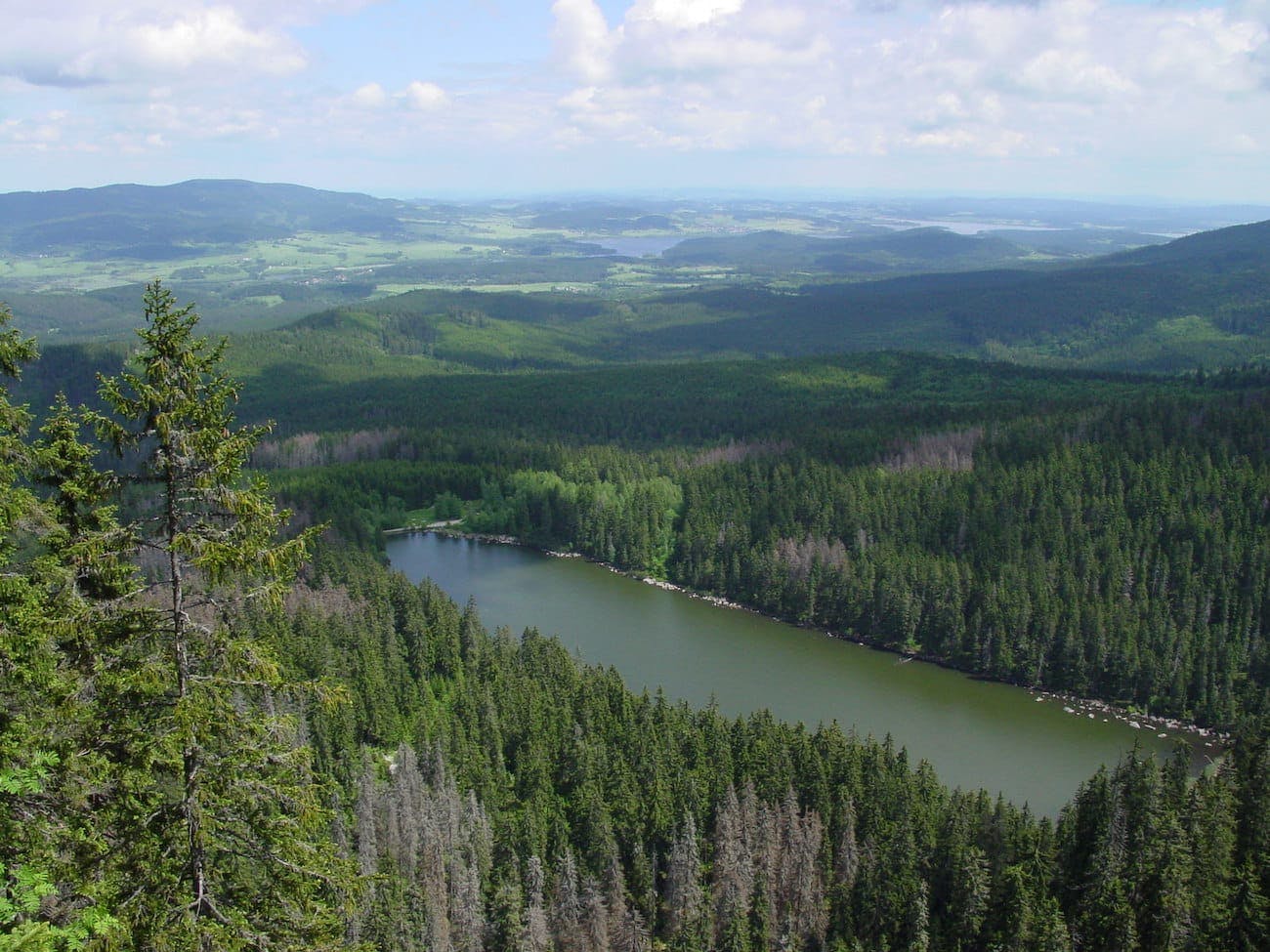 Šumava National Park - Plešné jezero (Plesne Lake)