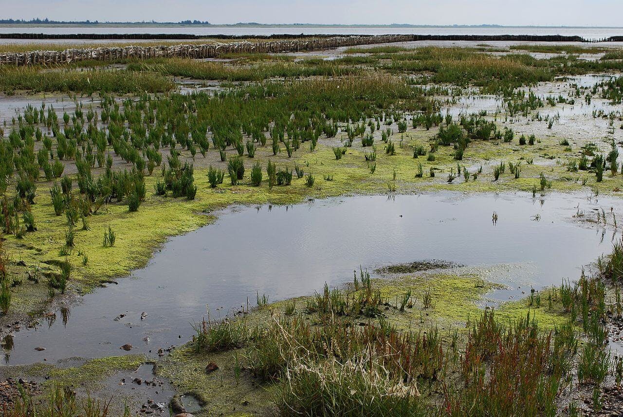 Mandø Island - Wadden Sea National Park