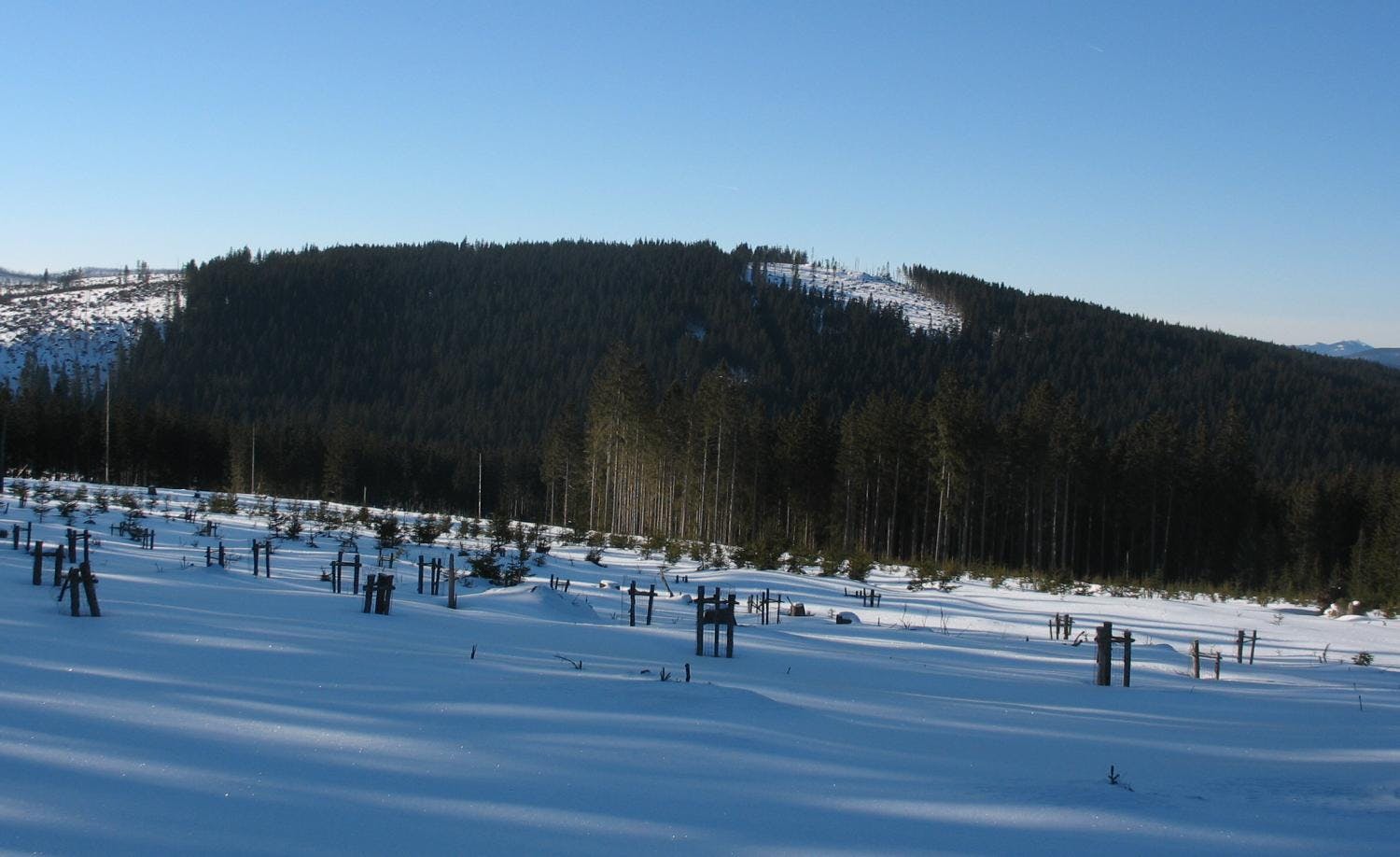 Šumava National Park - Černá Hora Mountain