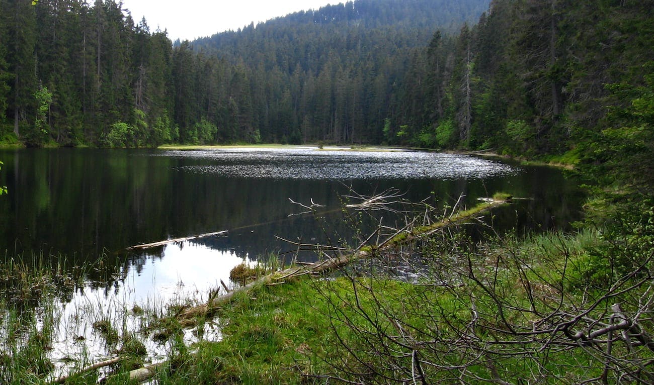 Šumava National Park - Lake Laka