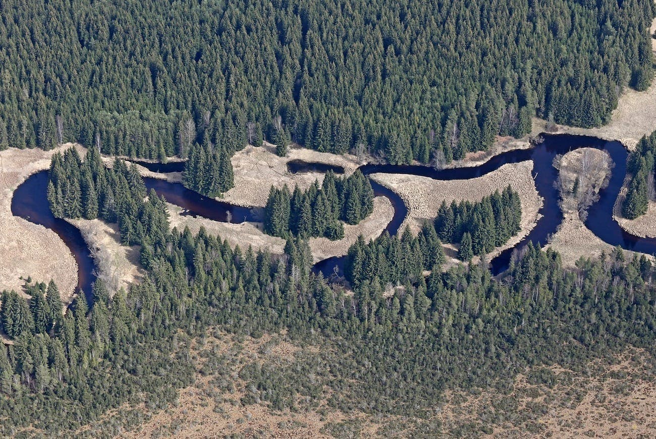 Šumava National Park - Canoe in Vltava River