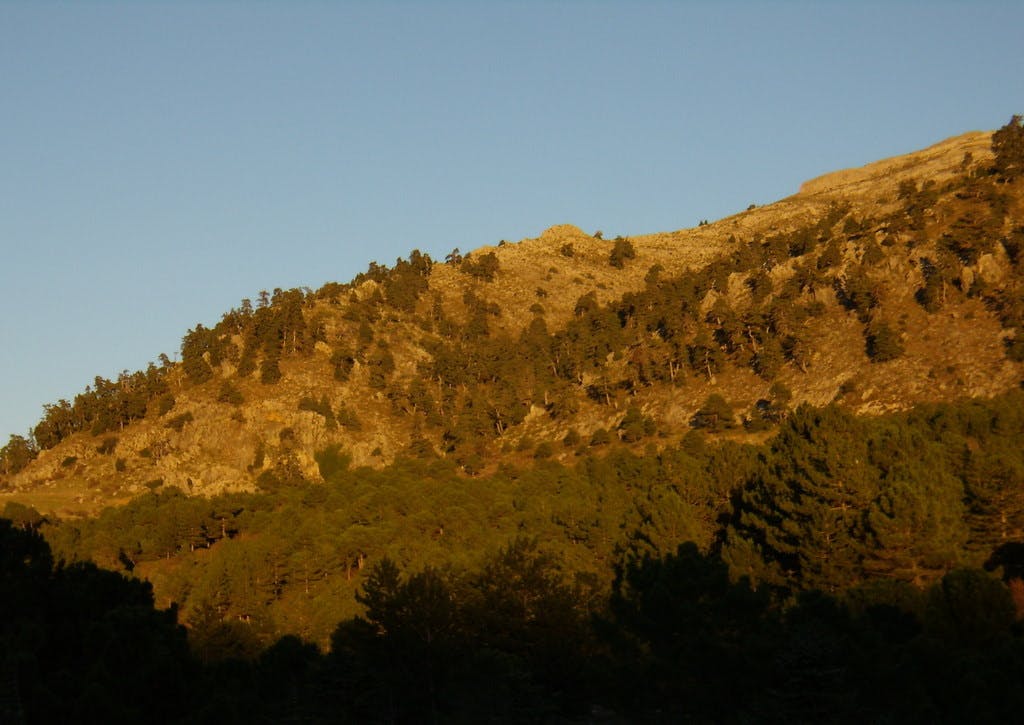 Camino de Ronda Hike - Sierra de las Nieves National Park