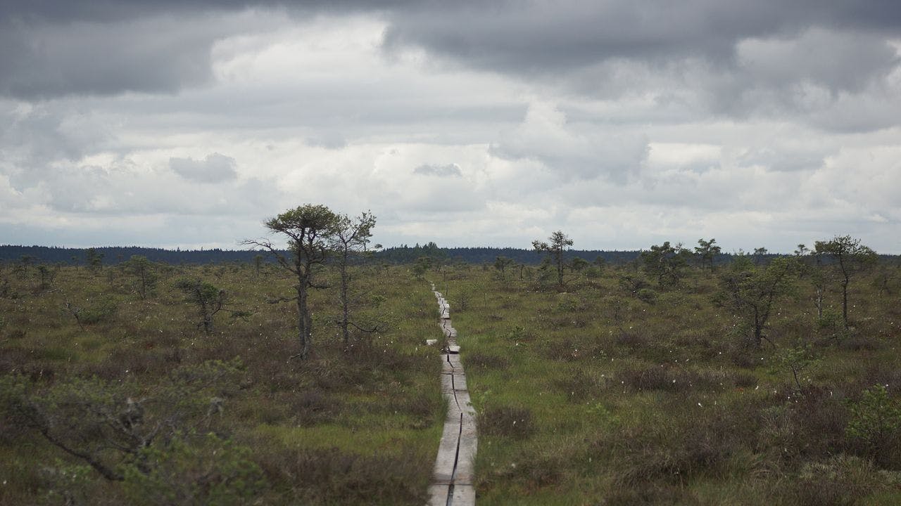 Store Mosse National Park - Lövö Hike