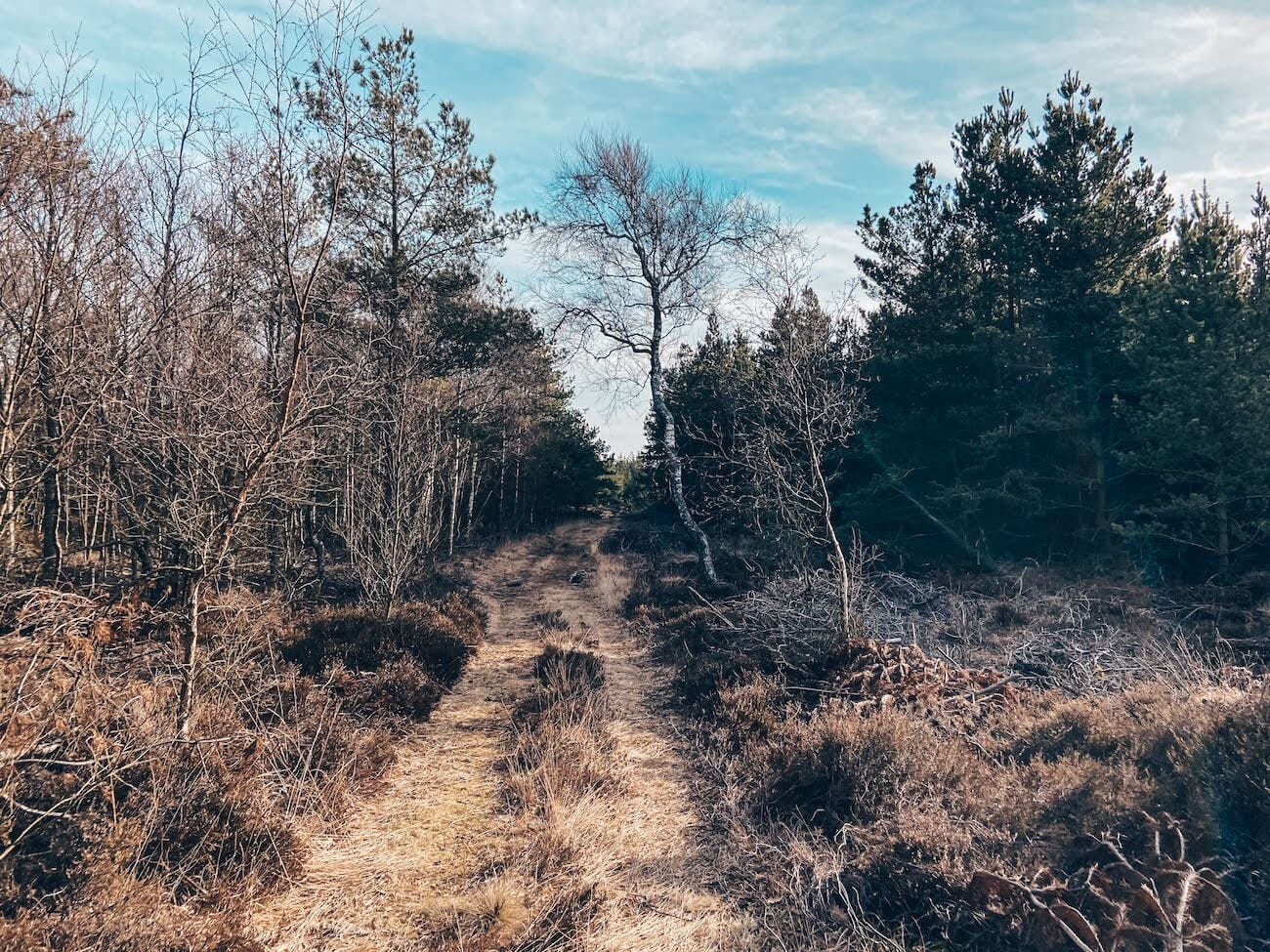 Fanø Hike - Wadden Sea National Park