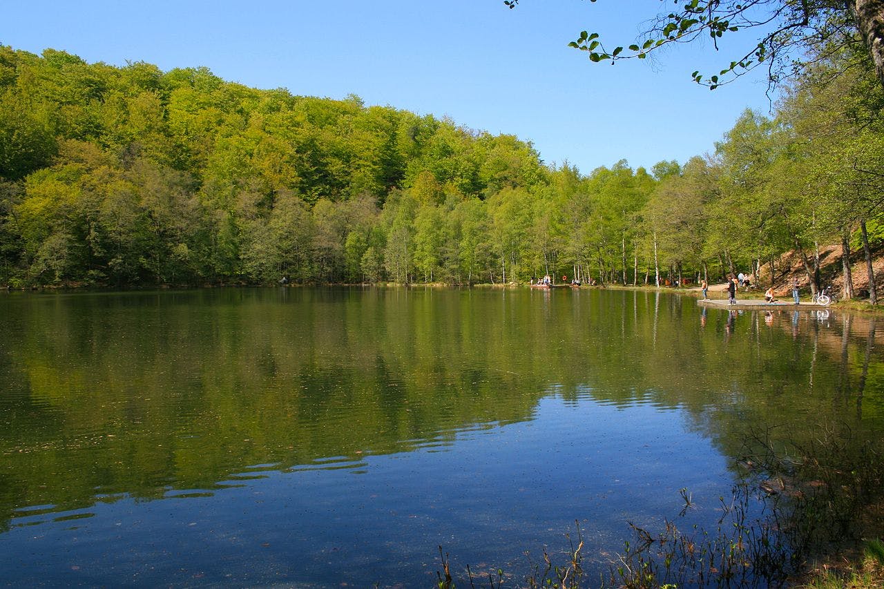 Odensjön Lake - Söderåsens National Park