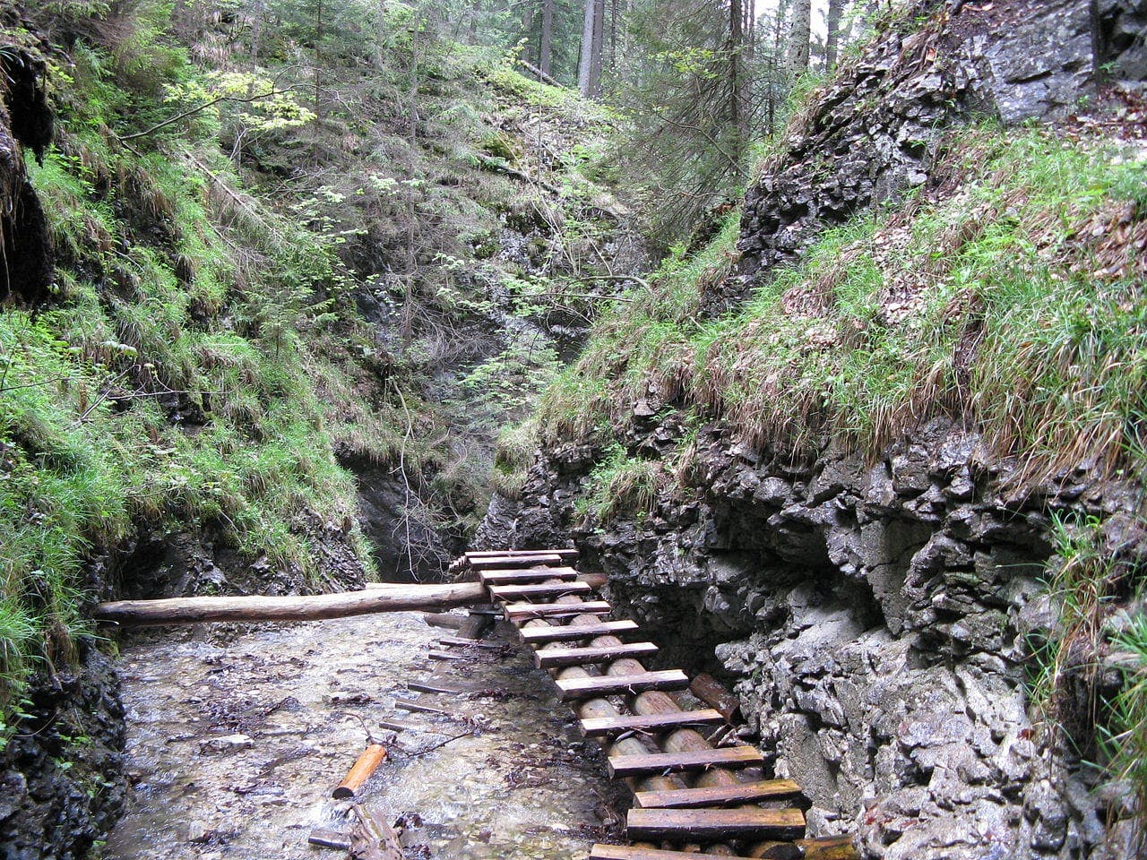 Suchá Bělá Hiking Trail - Slovak Paradise National Park