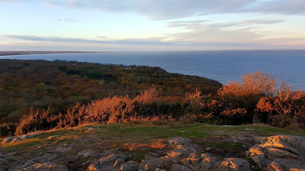 Hill - Stenshuvud National Park