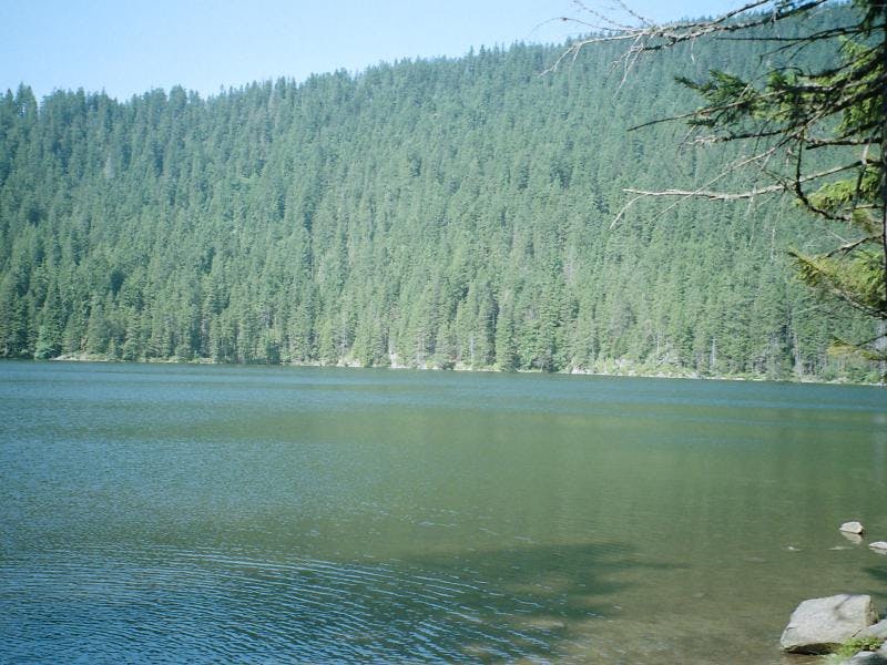 Šumava National Park - Černé jezero (Black lake)