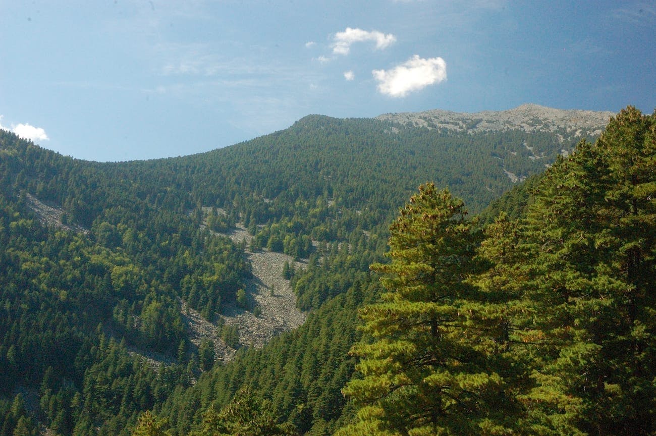 Baba Mountain - Pelister National Park