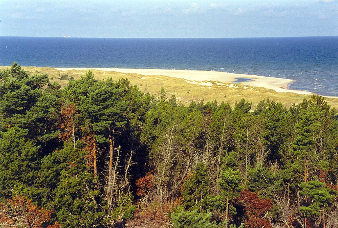 Gotska Sandön National Park - Höga Åsen Hike
