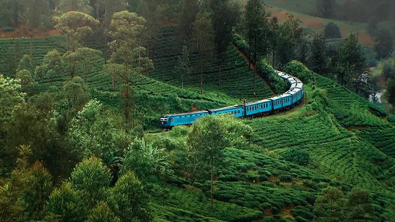 Sri Lankan blue train winding through tea plantations