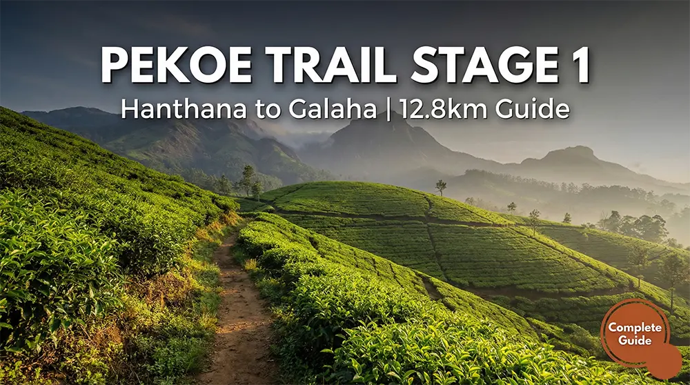 Pekoe Trail Stage 1: Complete Hanthana to Galaha Hiking Guide