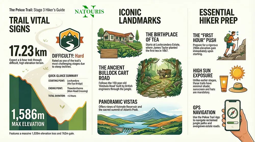 Pekoe Trail Stage 3 Guide Infographic