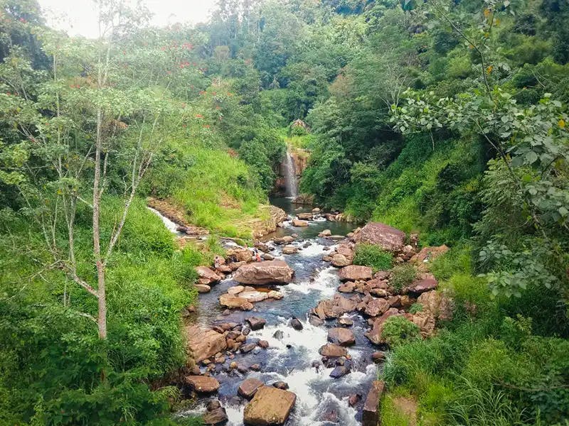 Landscape Pekoe Trail Stage 5