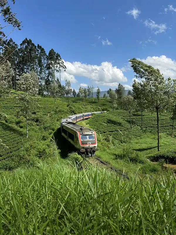 Pekoe Trail Stage 6 Train view Landscape
