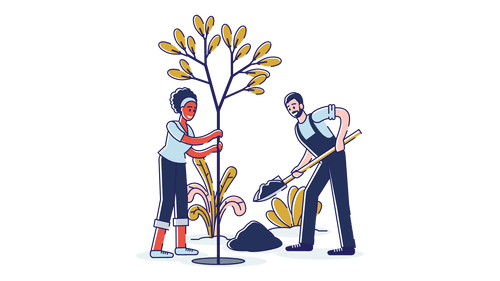 planting trees