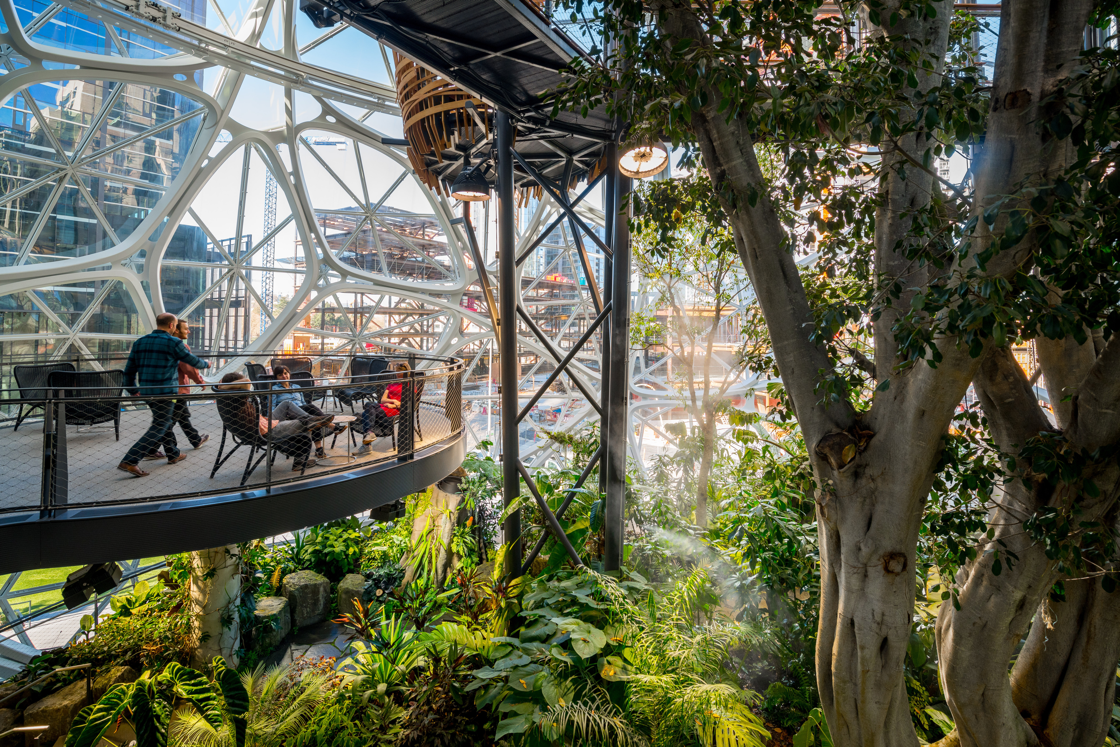 Creating Healthy Buildings With Lighting Design | NBBJ