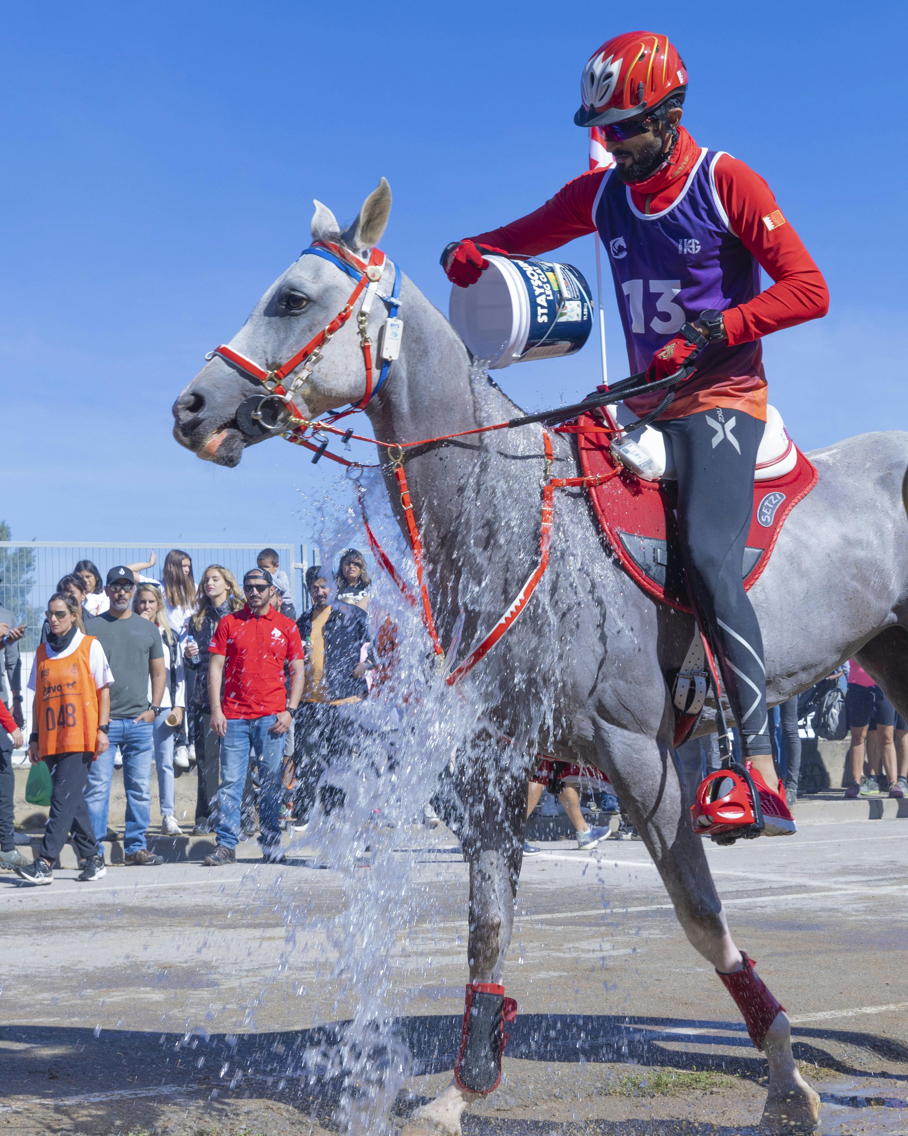 HH Sh. Nasser Bin Hamad Al Khalifa
