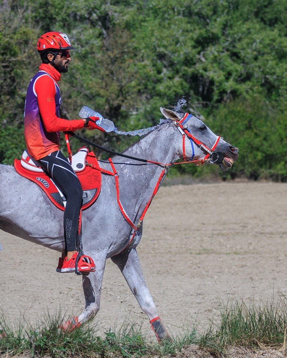 HH Sh. Nasser Bin Hamad Al Khalifa