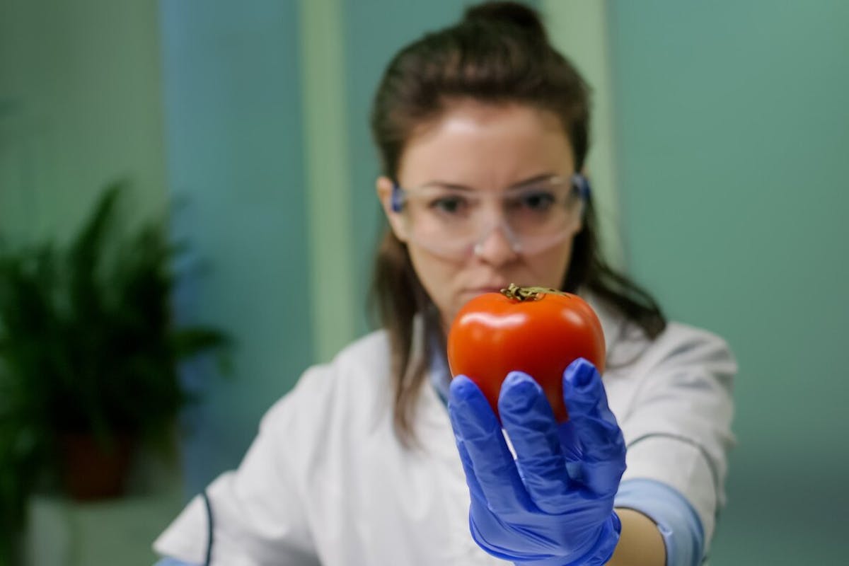 Food quality