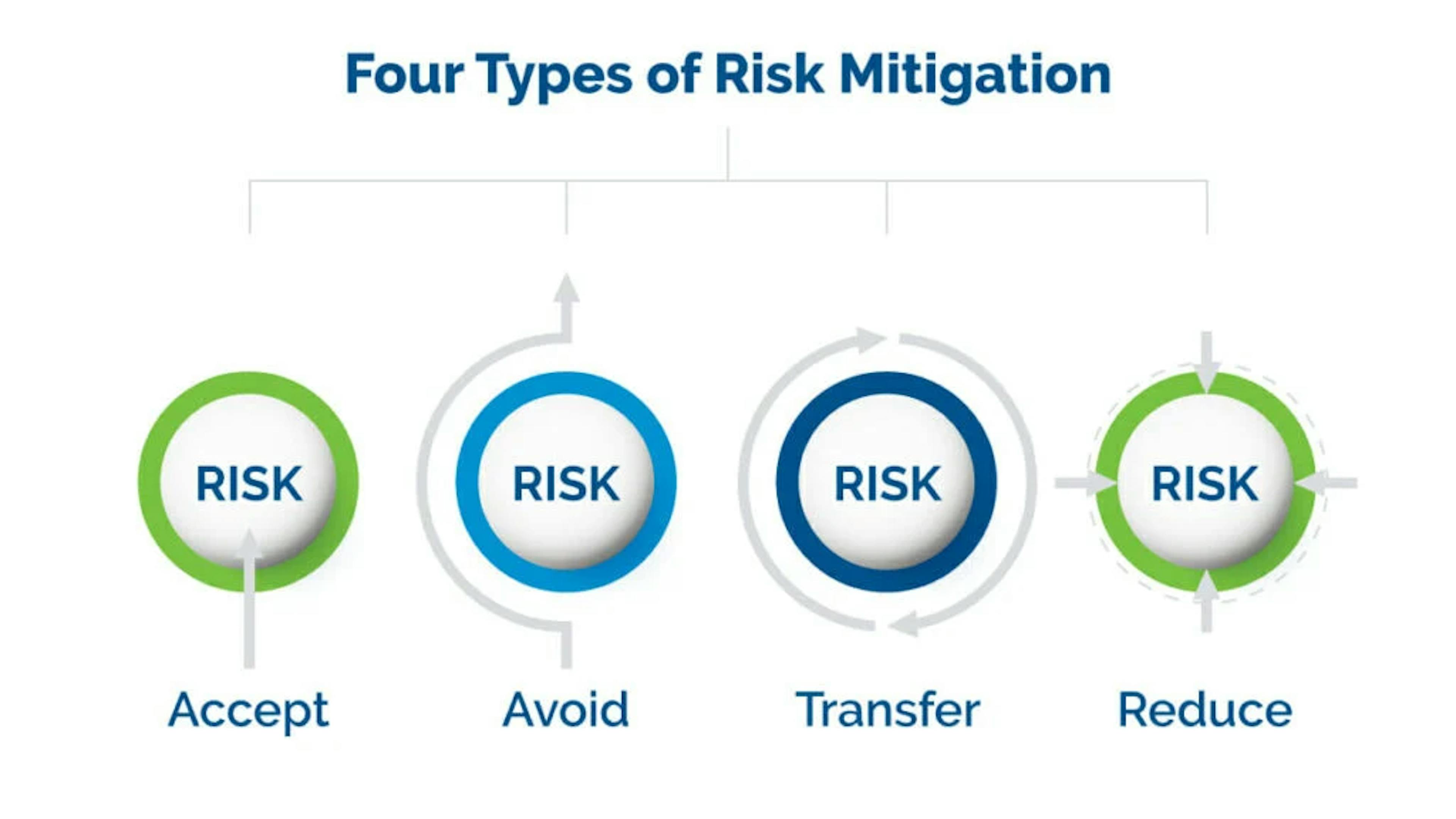 Risk Management and Mitigation