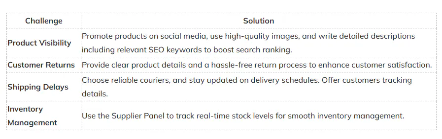 A table explaining the common challenges of Meesho sellers and their solutions.
