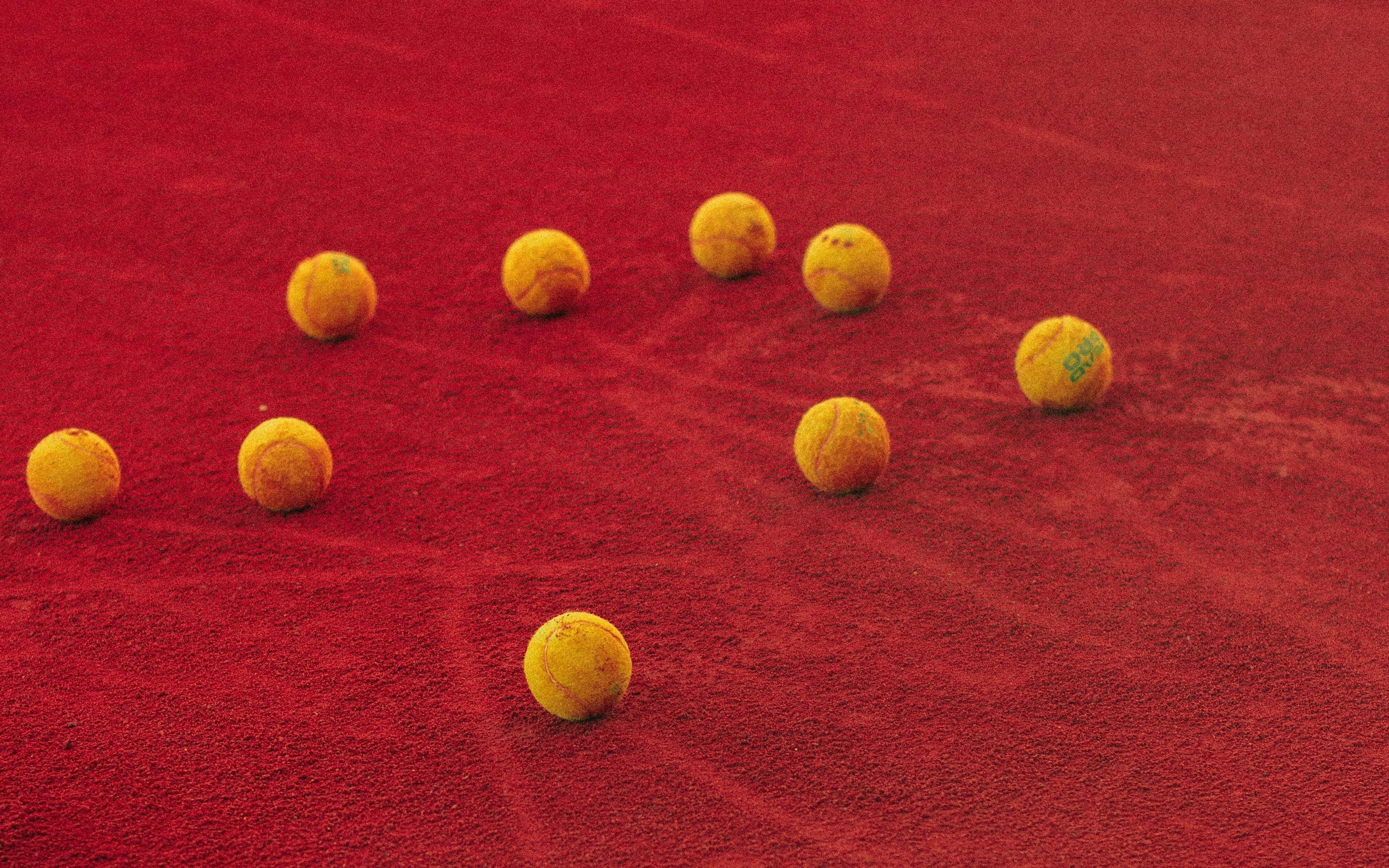 Blog Market Leadership: The Art of Innovation Pollination