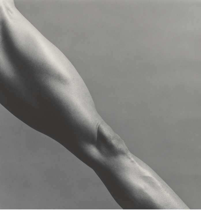 Robert Mapplethorpe, "Lisa Lyon," New York, 1982