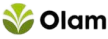 olam