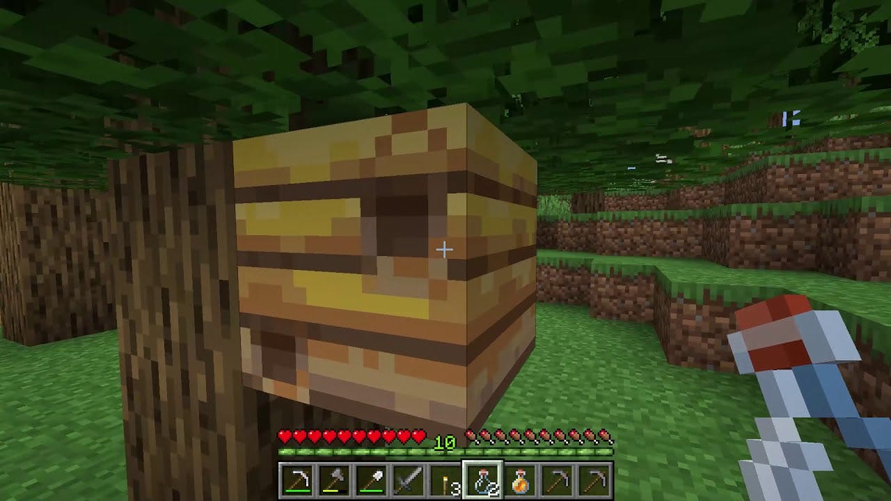 Colmeia Vazia e uma garrafa de Vidro